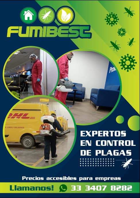 Fumigación y Control de Plagas en Tlaquepaque y Guadalajara