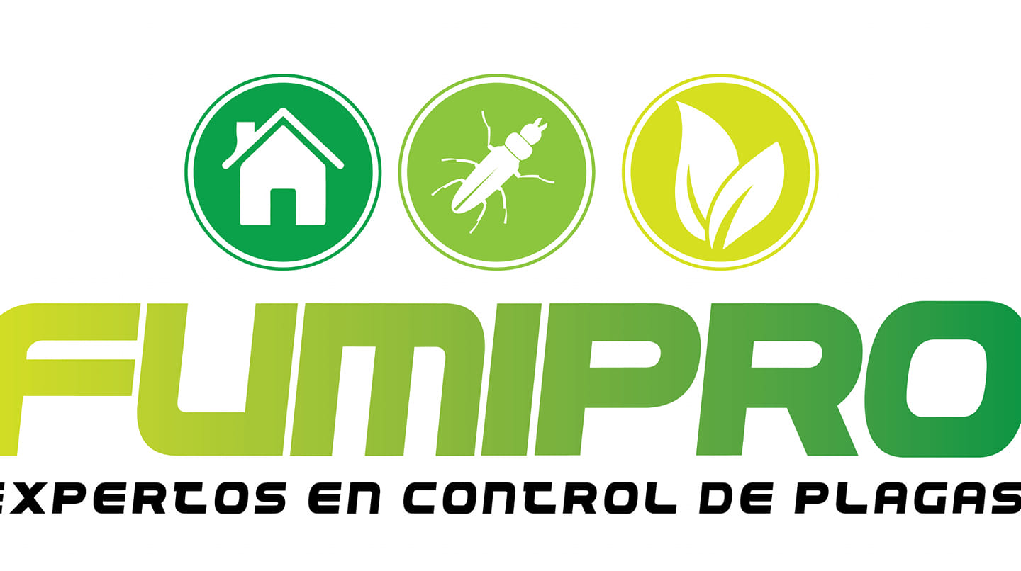 Técnico aplicando insecticida en cocina
